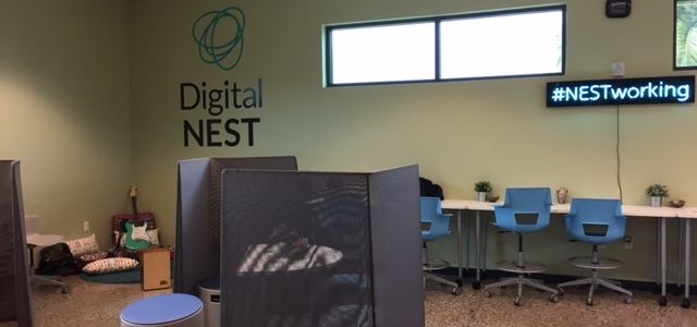 #fiberforall Spotlight: Digital NEST Part 2